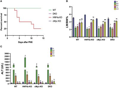 Role of HNF4alpha-cMyc interaction in liver regeneration after partial hepatectomy
